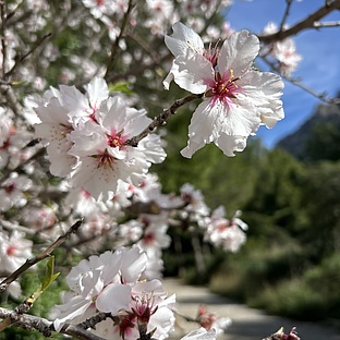poiImage_3270_1739221430