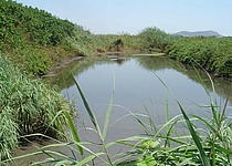 Binissalem_Lagune_Klaerwasser_caib