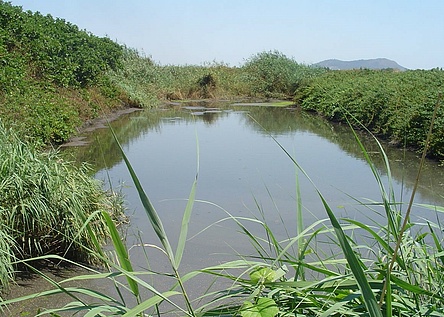 Binissalem_Lagune_Klaerwasser_caib