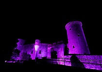 CastilloBellverLila_AjuntamentdePalma