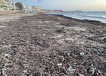 muell_strand_Ciudad_Jardin_eigen_katrin