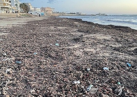 muell_strand_Ciudad_Jardin_eigen_katrin