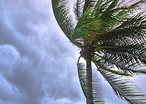 _windstaerke_sieben_auf_mallorca