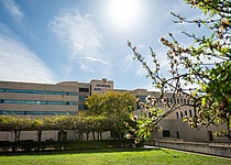 SonLlatzerVonAussen_Hospital_Universitari_Son_Llatzer_Facebook