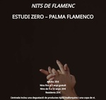 nits_de_flamenc_estudizeroteatre