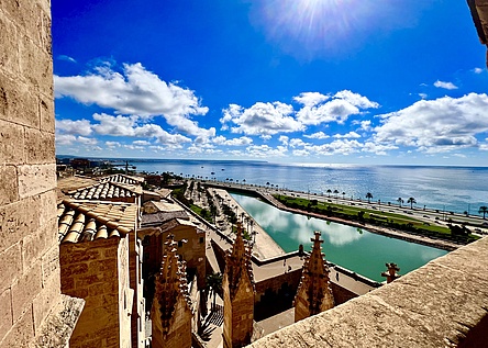 Dachterrasse_Katedrale_Palma__4_