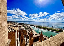 Dachterrasse_Katedrale_Palma__4_