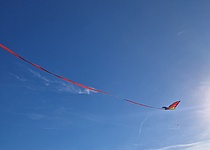 Drachen_Foto_Julia