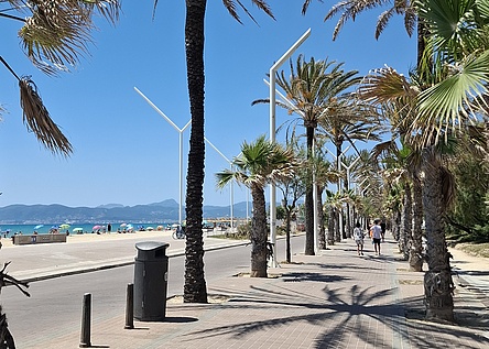 Playa_de_Palma_Promenade_Palmen_intern_Dominik
