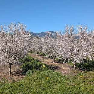 poiImage_8833_1771688877