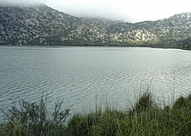 stauseen_auf_mallorca_zu_fast_100_prozent_gefullt