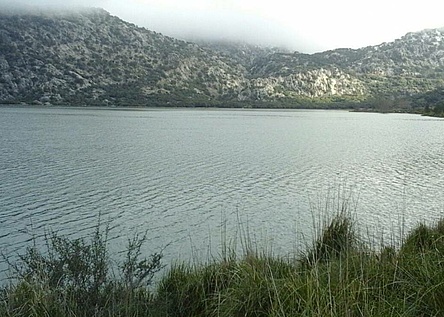 stauseen_auf_mallorca_zu_fast_100_prozent_gefullt