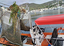 MuellWasser2025_Caib