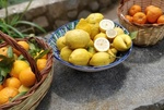 Orangenfarm