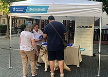 emaya_Hunde_kampagne