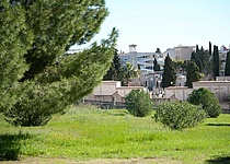 Bosque_de_la_Vida_Friedhof_Bestattungswald_ajuntament_Palma