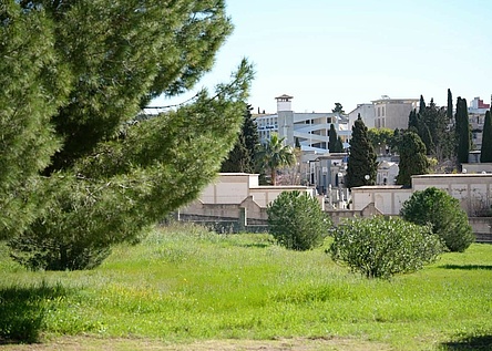 Bosque_de_la_Vida_Friedhof_Bestattungswald_ajuntament_Palma