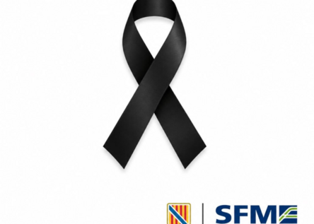 SFMAnteilhabeToledo_SFM_Instagram