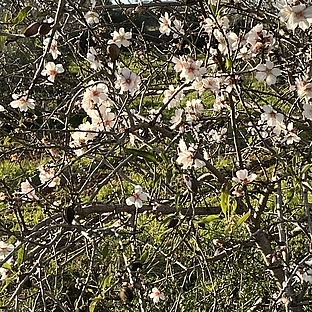 poiImage_8810_1768207527