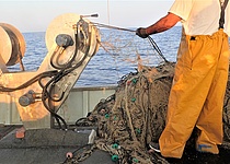 Fischer_Fischerei_caib