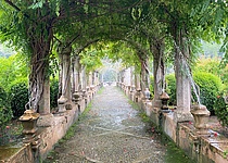 Jardins_de_Alfabia_intern_Maresa__1_
