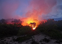 Feuer_Waldbrand_Son_Serra_de_Marina_Policia_Local_Santa_Margalida_Facebook