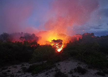 Feuer_Waldbrand_Son_Serra_de_Marina_Policia_Local_Santa_Margalida_Facebook