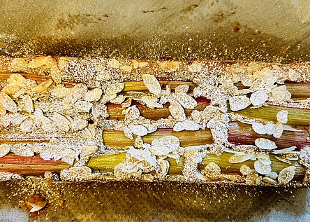 Rezeptfoto_2804