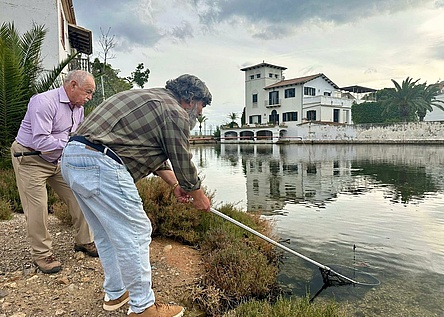 BlauerKrebs_ConselldeMallorca