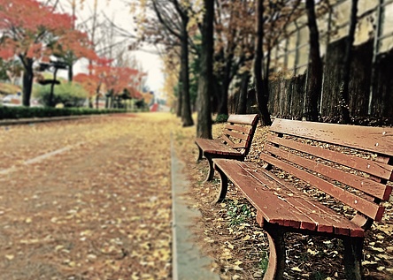 Park_Pexels