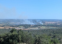Brand_Sant_Jordi_ibanat_twitter