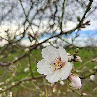 poiImage_3234_1737838438