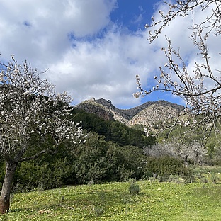 poiImage_3274_1739439386