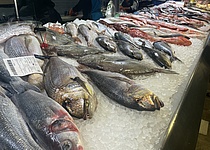 Fisch_Markthalle_Mercat_de_Santa_Catalina_intern_Kim