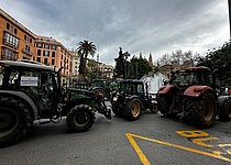 Bauernprotest2024_Intern2