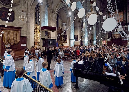 Blauets_Santa_Eulalia___Fundacion_Sa_Nostra