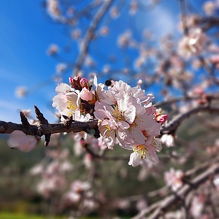 poiImage_3238_1737909545