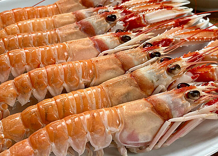 cigalas_cocidas_maris_galicia