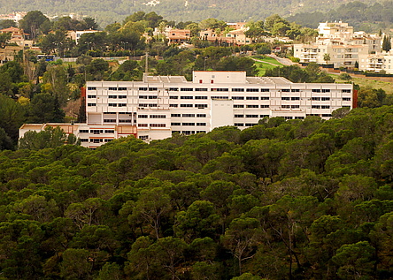 LaBonanova_HomepageImasMallorca