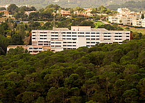 LaBonanova_HomepageImasMallorca