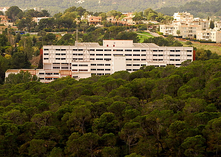 LaBonanova_HomepageImasMallorca