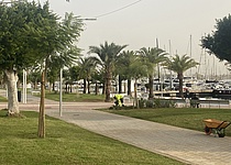 November_2025_Paseo_Maritimo_Palma_inselradio_2