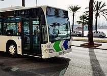 _busfahren_in_palma_erst_ab_februar_teurer