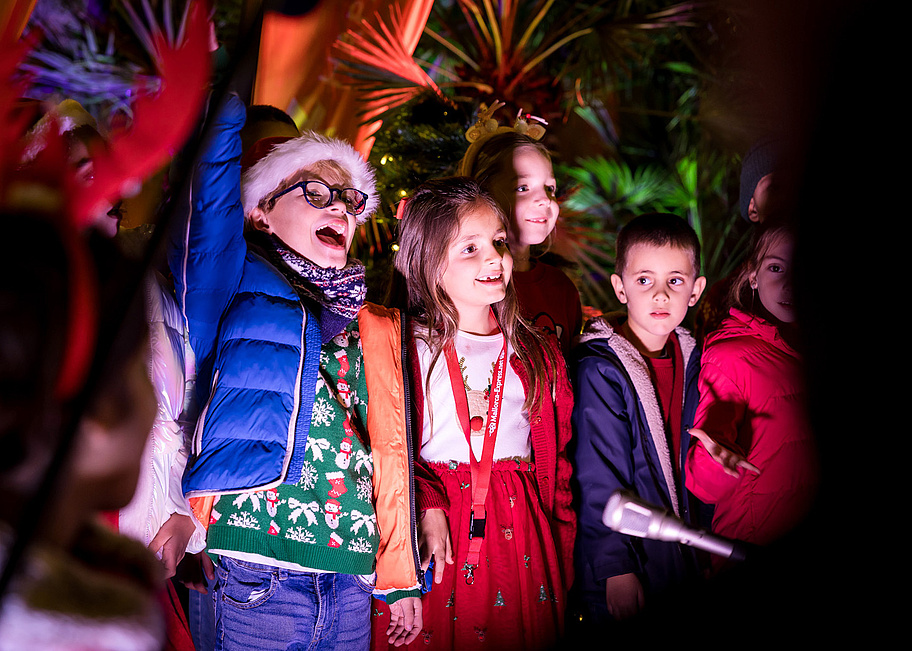 251204_Inselradio_0038