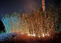 Stromausfall_Brand_Alcudia_policia_local_d_Alcudia