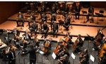 teatre_principal_website