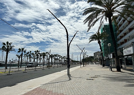 Paseo_Maritimo_Bauarbeiten_Hafen_quelle_APB