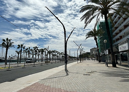 Paseo_Maritimo_Bauarbeiten_Hafen_quelle_APB