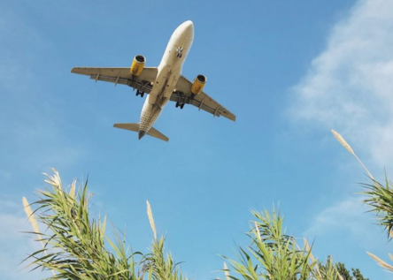 VuelingFlugzeug_InstagramVueling