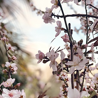 poiImage_3254_1738594804